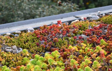 the cost of Limehillock green roof installation