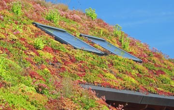 Limehillock living roof systems
