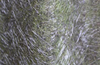 Limehillock fibreglass roof work